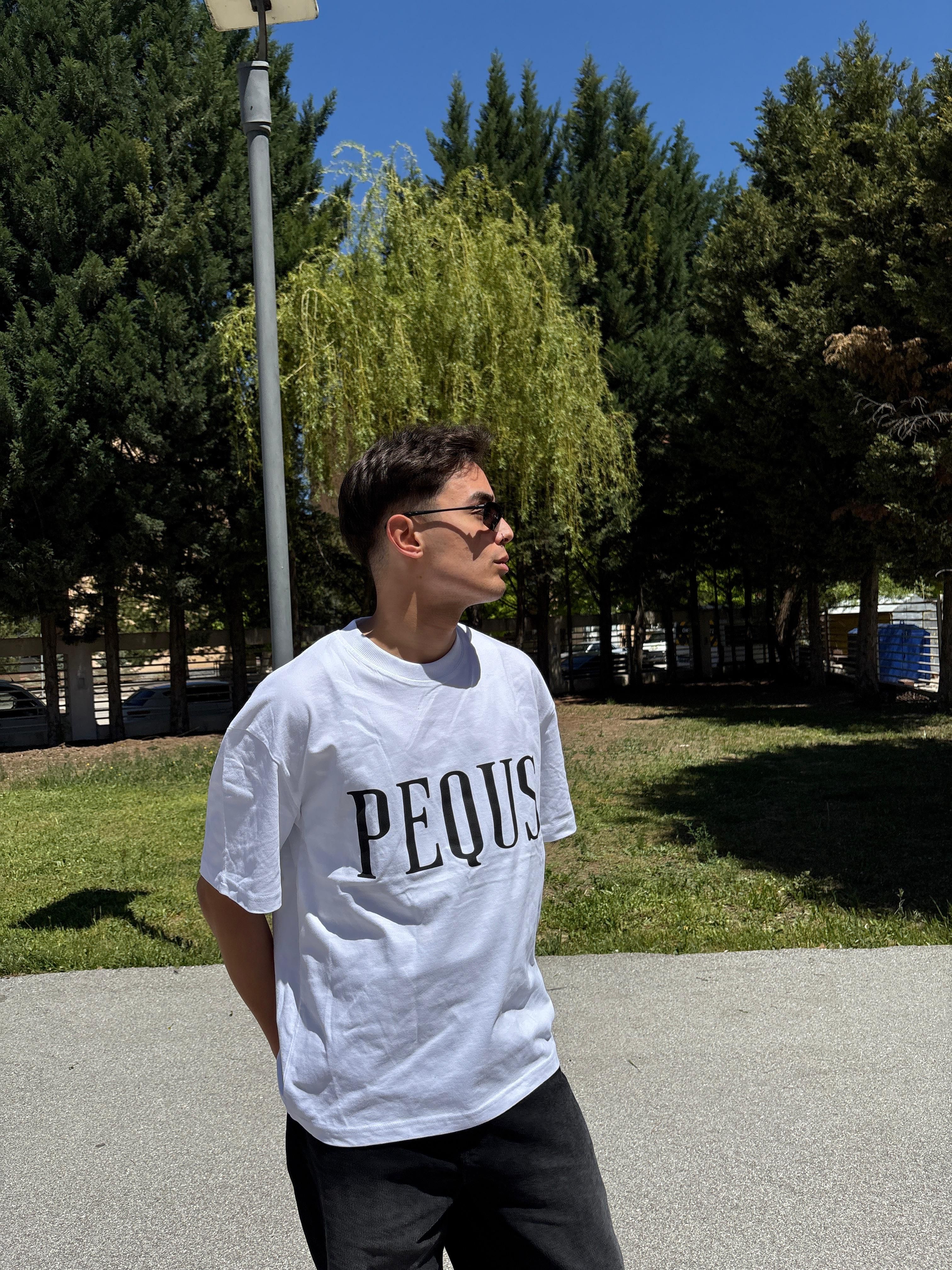 Premium Oversize Unisex T-Shirt