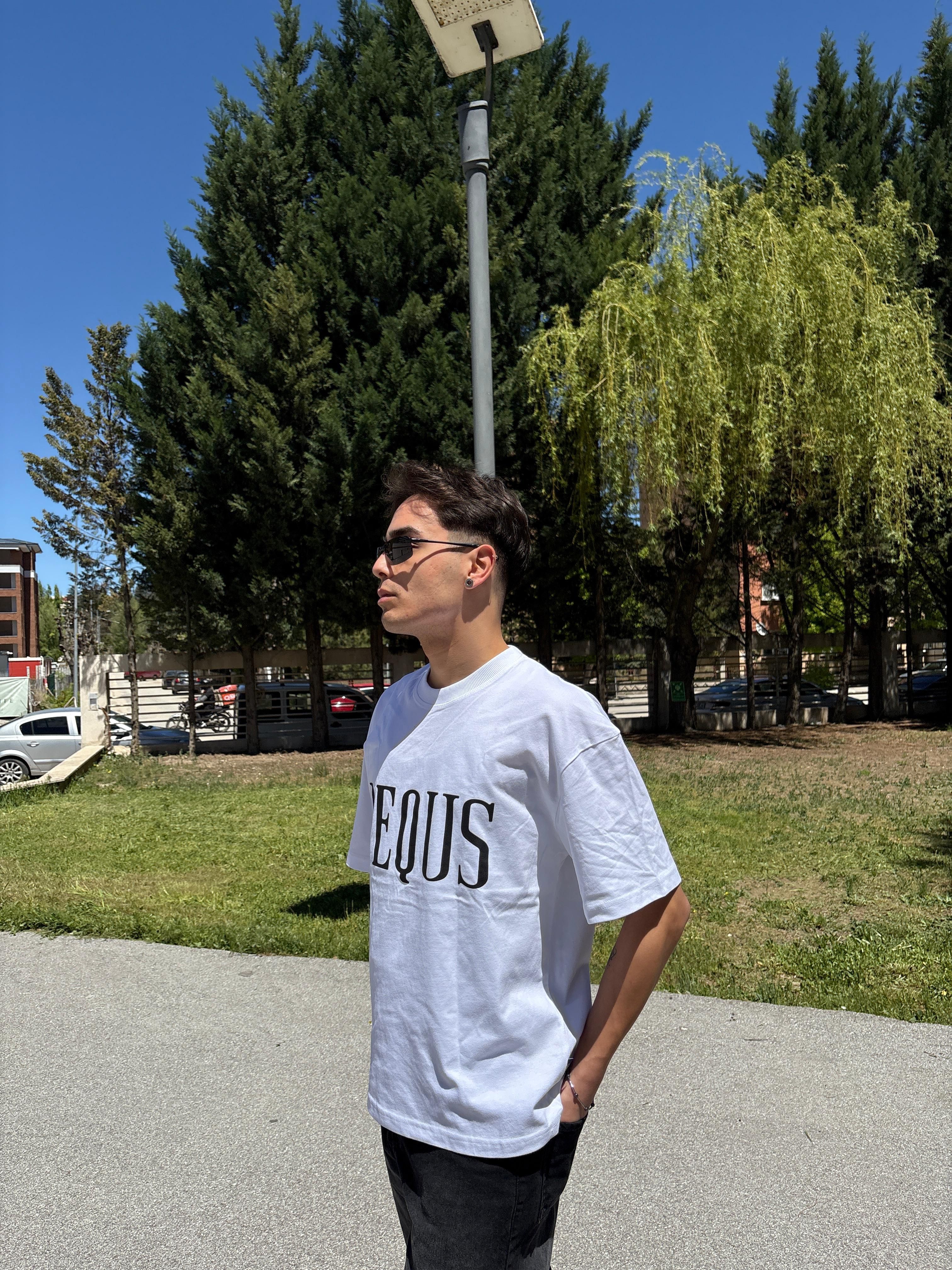 Premium Oversize Unisex T-Shirt