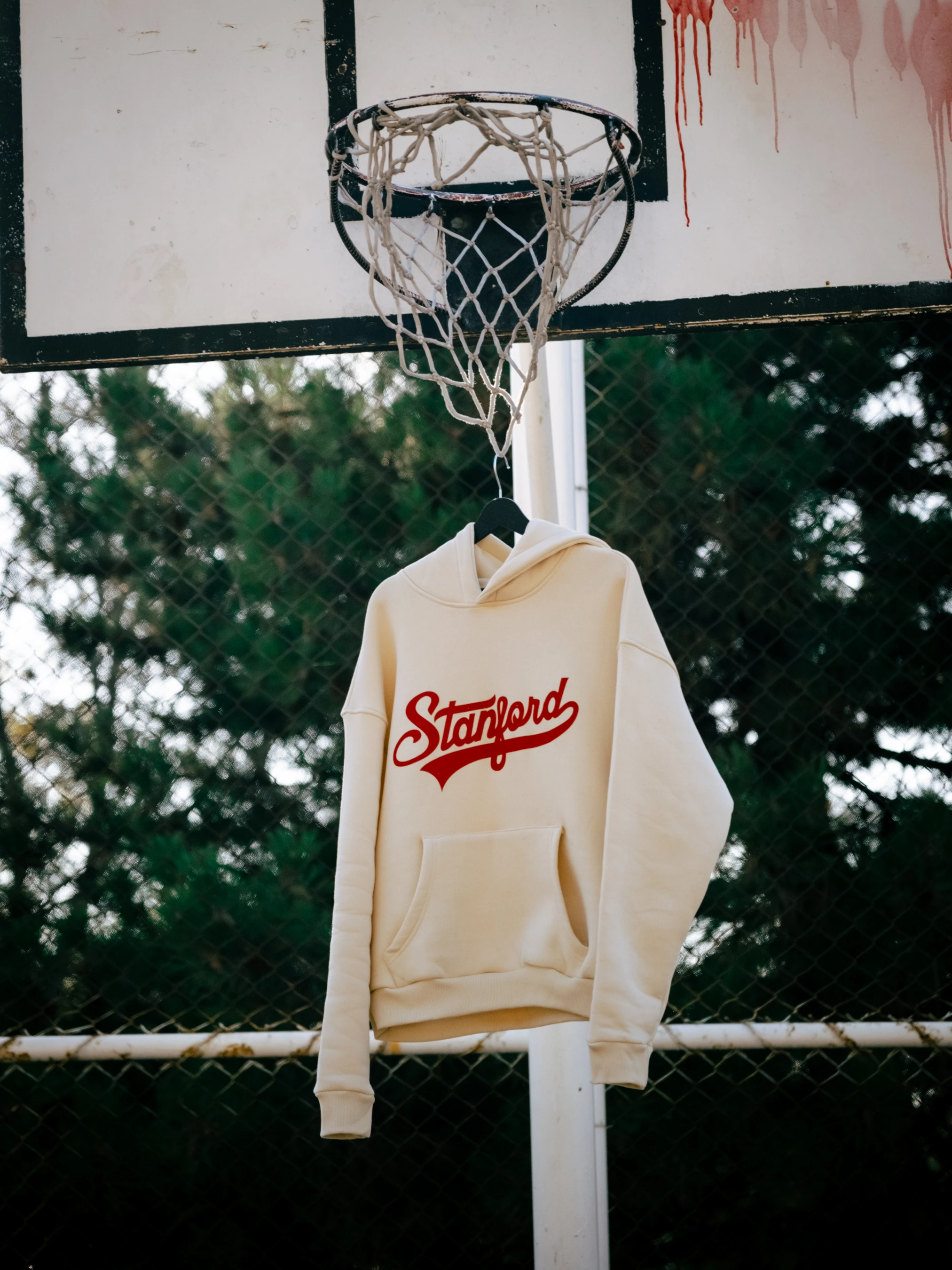 Stanford Print Oversize Hoodie