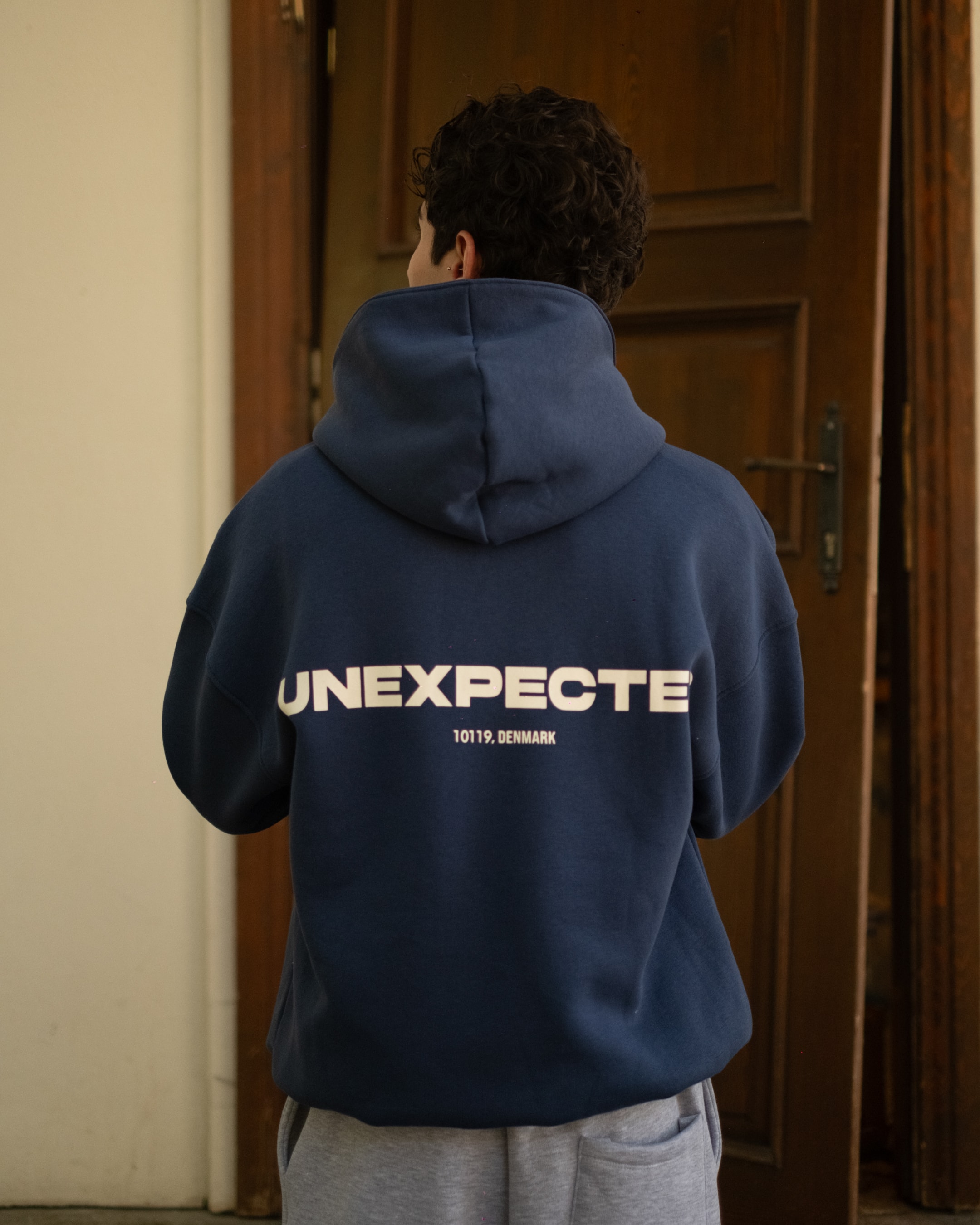 Unexpected Oversize Premium Hoodie