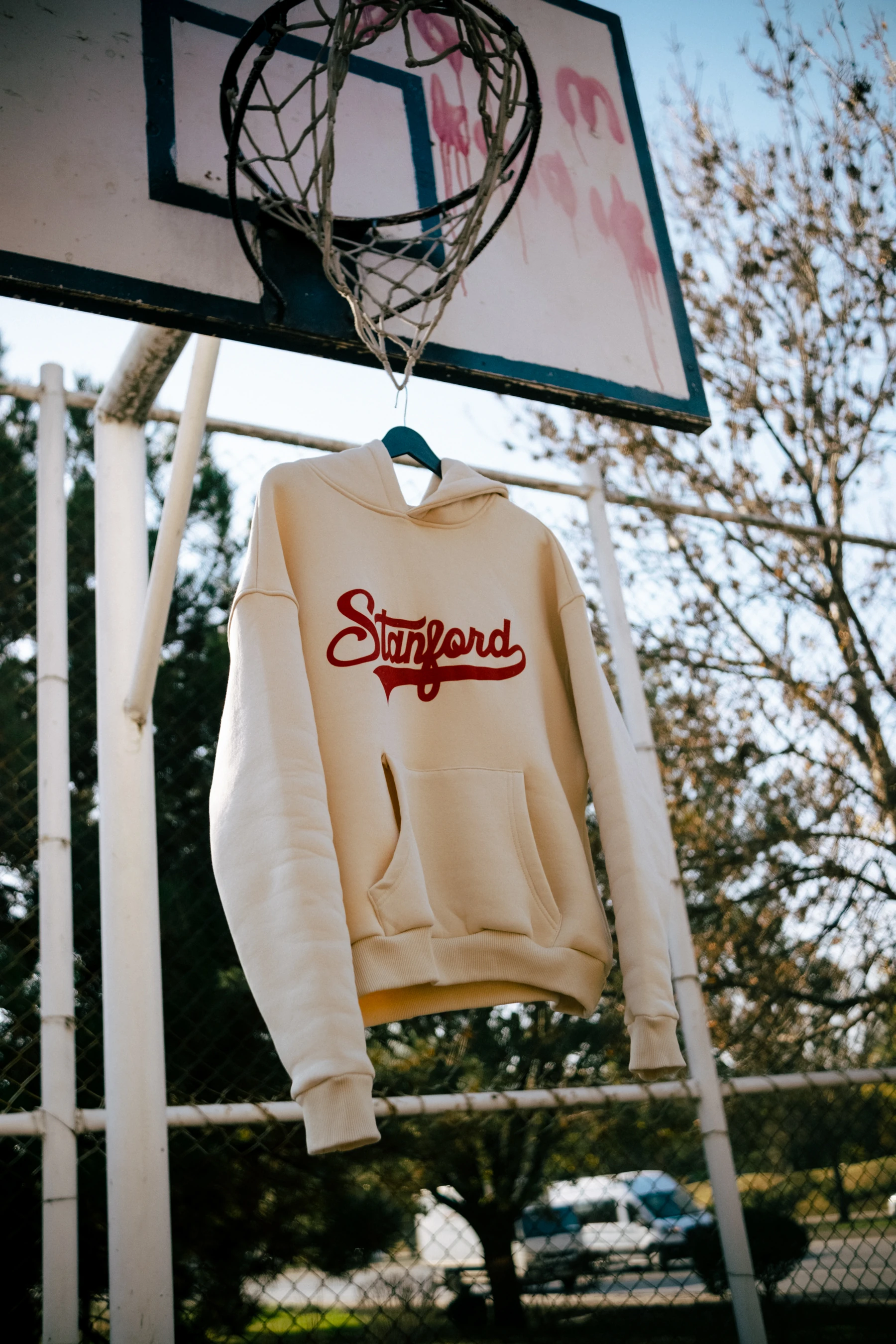 Stanford Print Oversize Hoodie