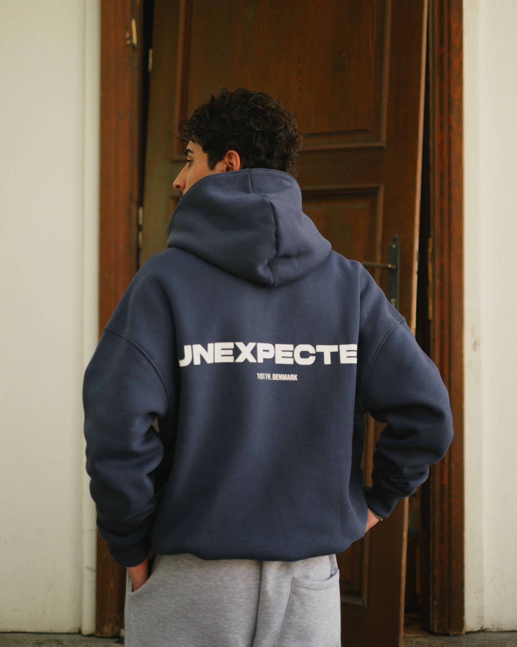 Unexpected Oversize Premium Hoodie