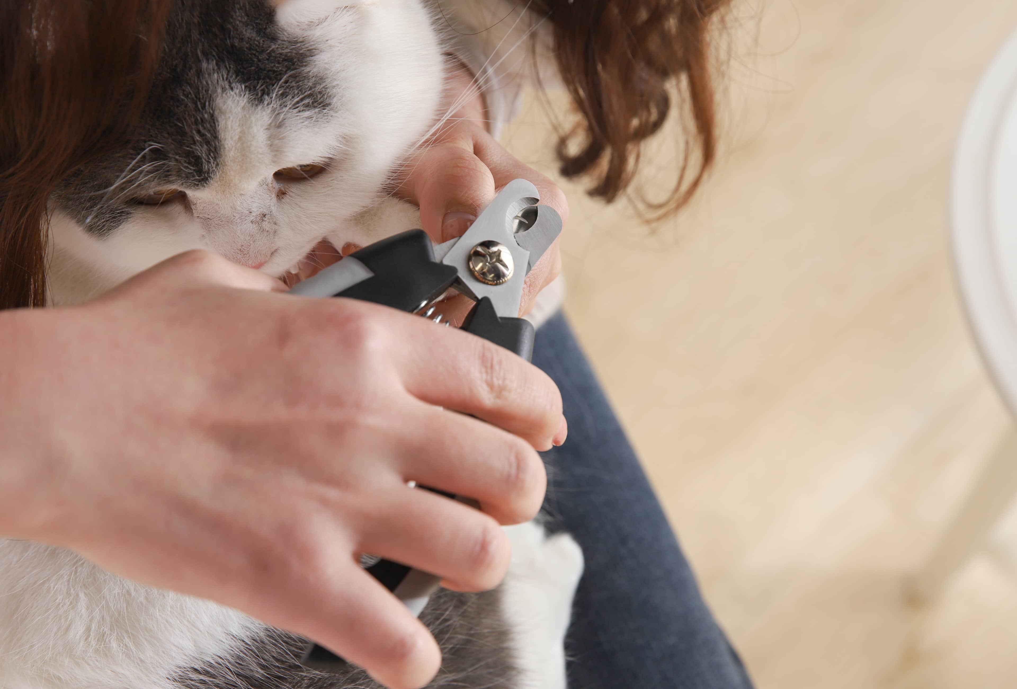 Pet luxe 2li Tırnak Makası Seti