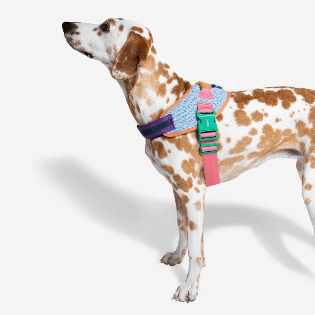 Zee.Dog FlyHarness Galaxy Göğüs Tasması
