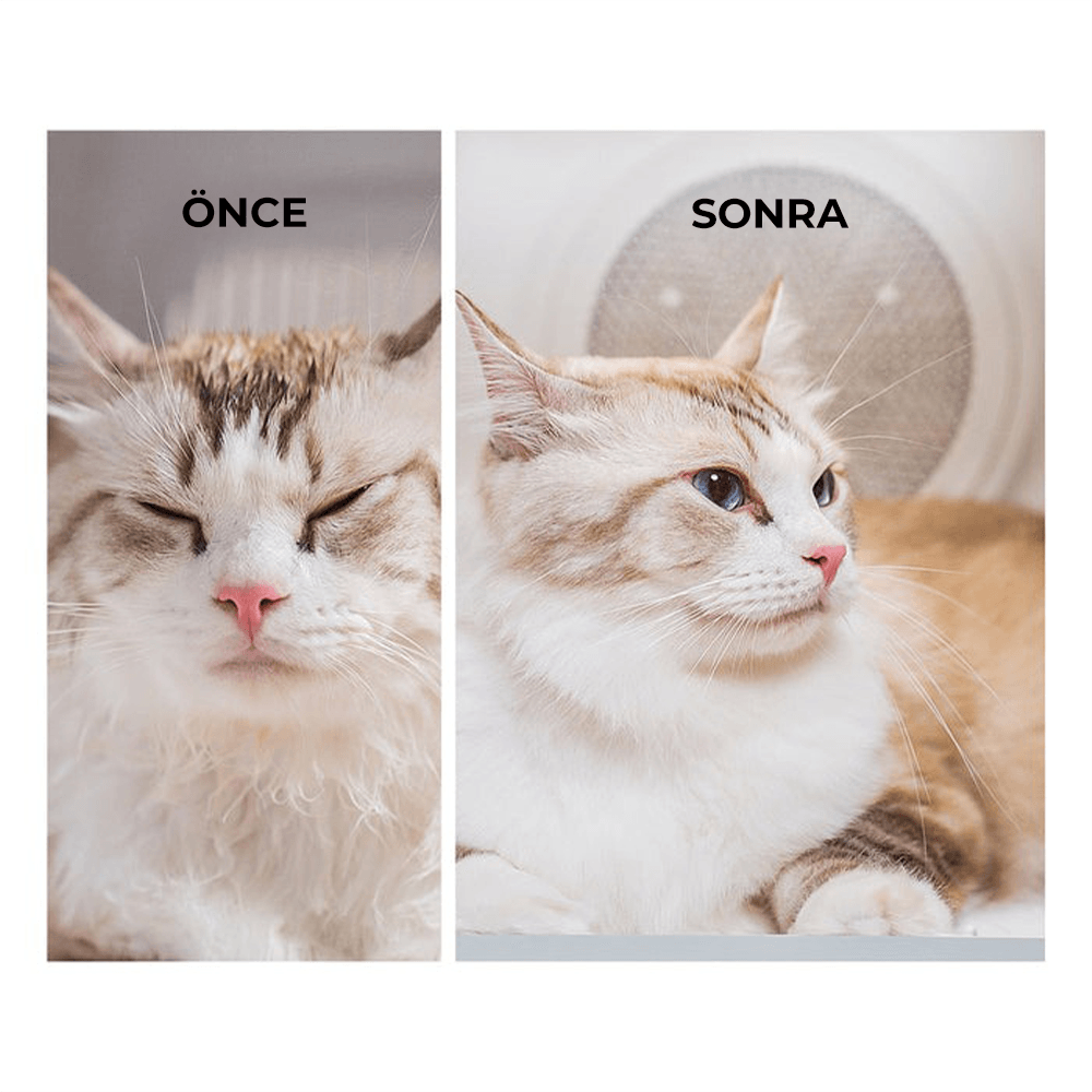 Petkit Akıllı Evcil Hayvan Kurutma Makinesi Max Pro