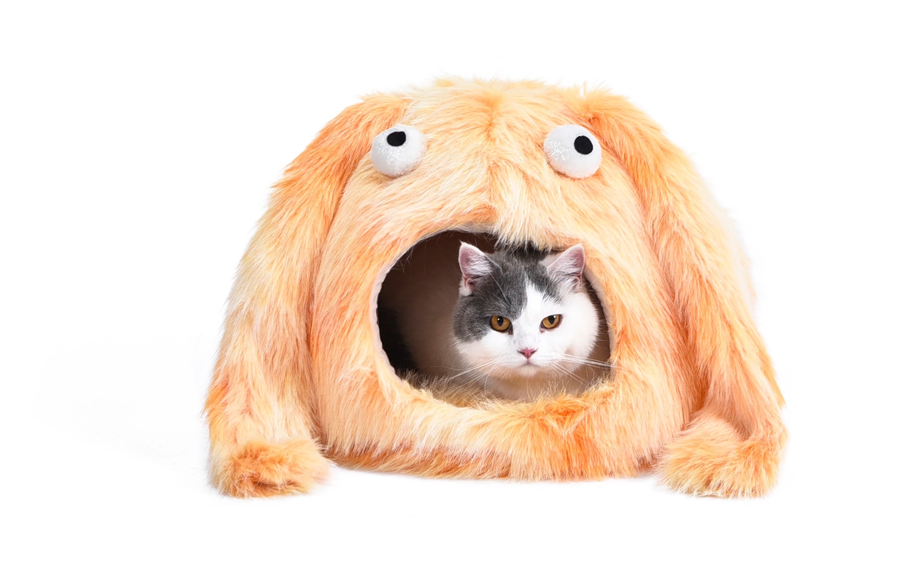 PETLUXE Monster Kedi Evi