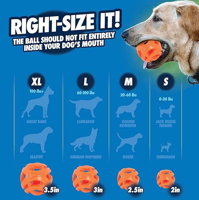 Chuckit! CU32216 Ball Breathe Right Fetch Ball