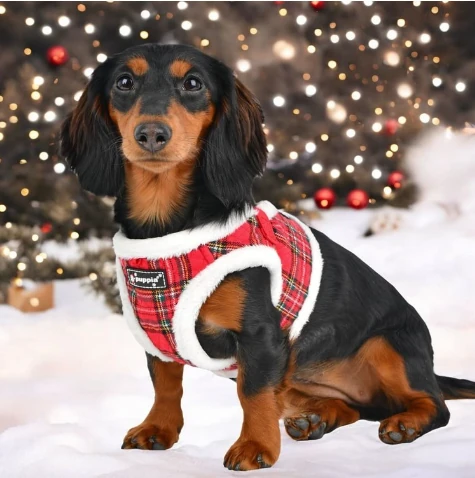 PUPPIA Blitzen Ayarlanabilir Polarlı Göğüs Tasması