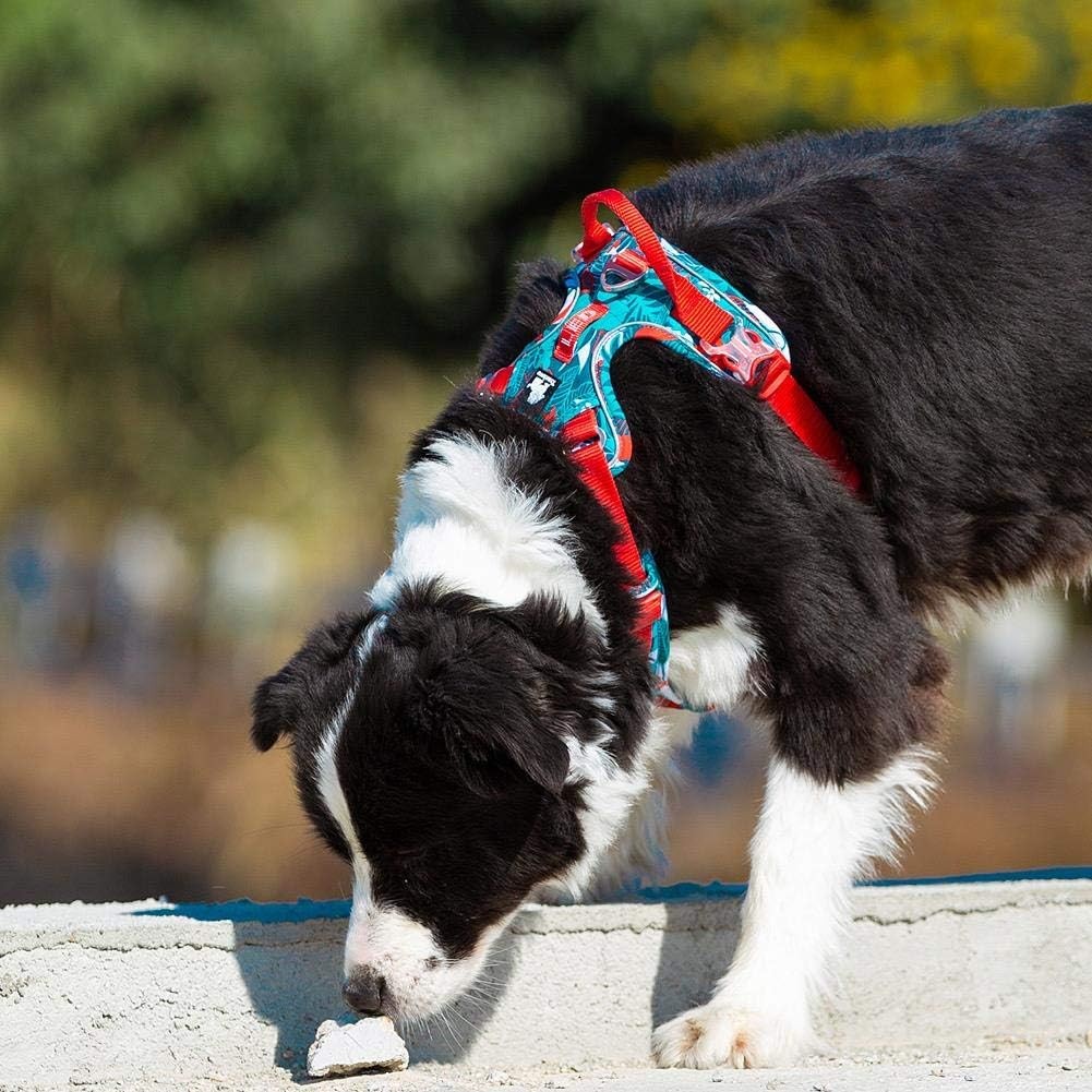 True Love Mavi Kamuflajlı Köpek Gögüs Tasması