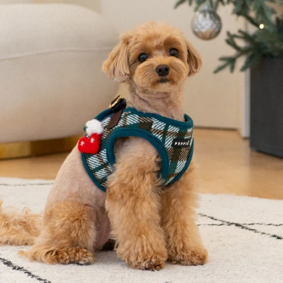 PUPPIA Festive Ayarlanabilir Polarlı Göğüs Tasması