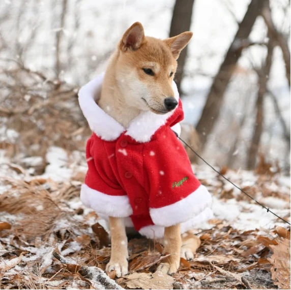 PUPPIA Santa's Coat Polarlı Köpek Kıyafeti