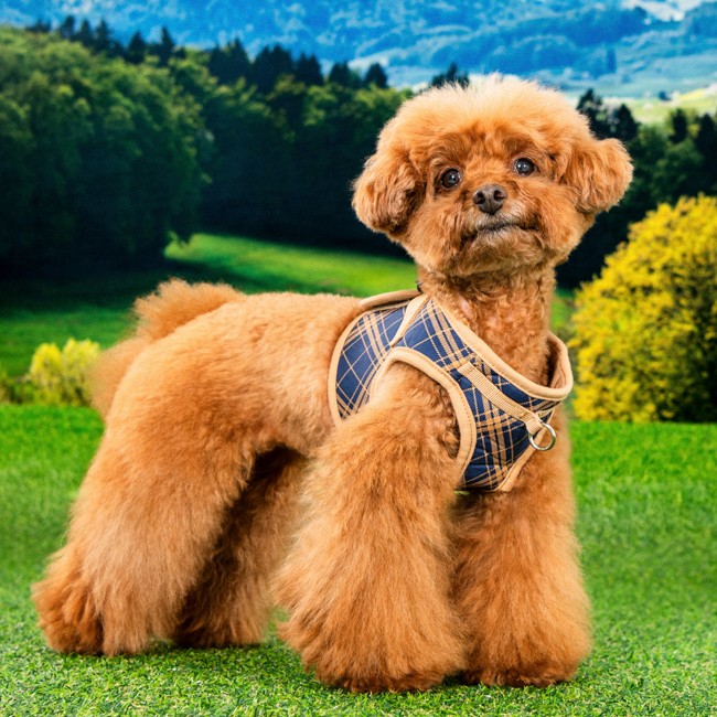 PUPPIA Corwın Harness Navy Paza Köpek Gögüs Tasması