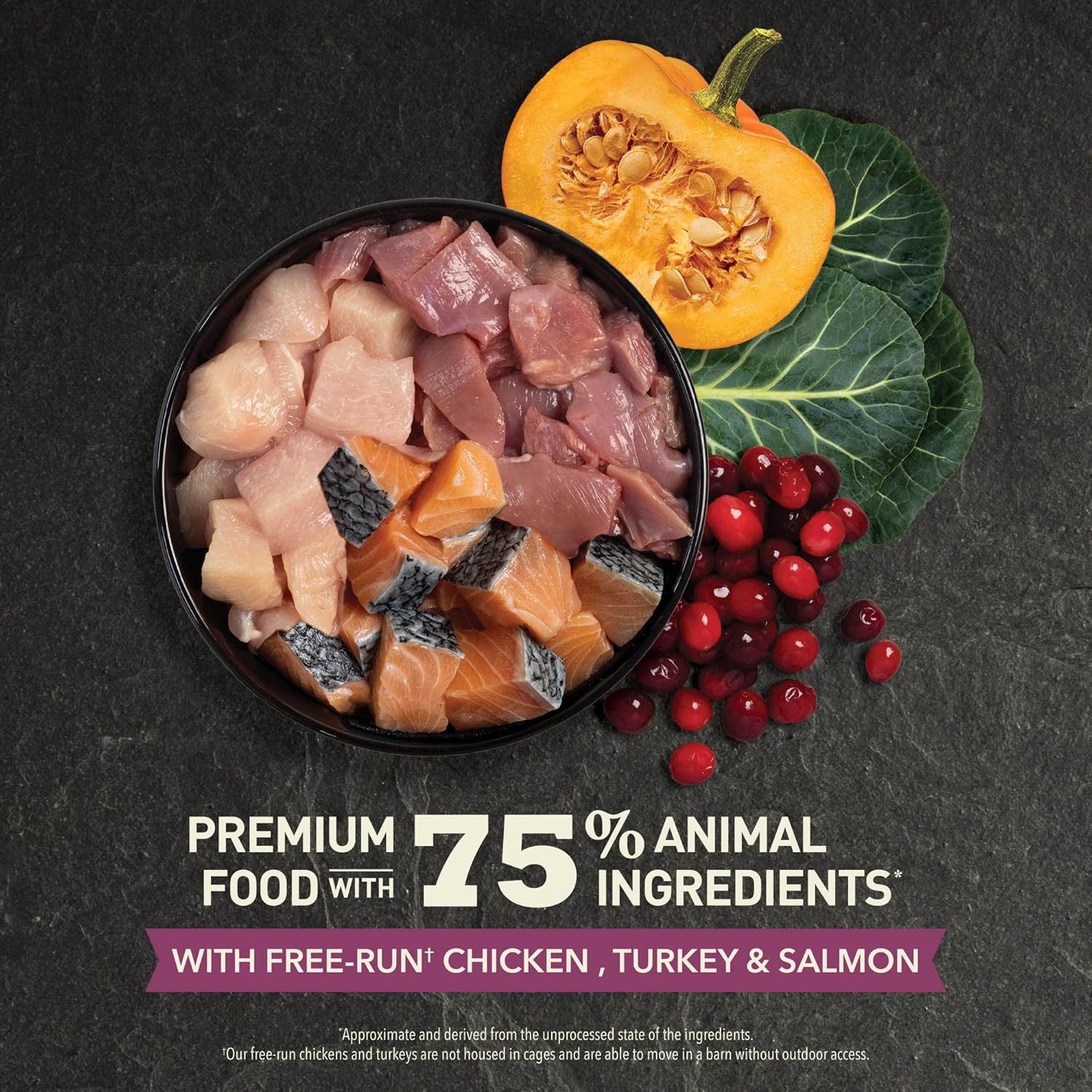 Acana Highest Protein Kitten 1.8 kg Yavru Kedi Maması