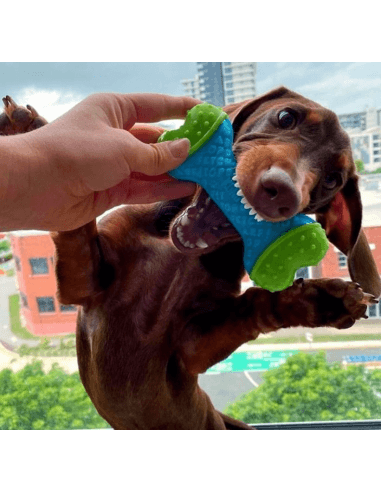 Kong Core Strength Köpek Çiğneme Oyuncağı 13,5 cm