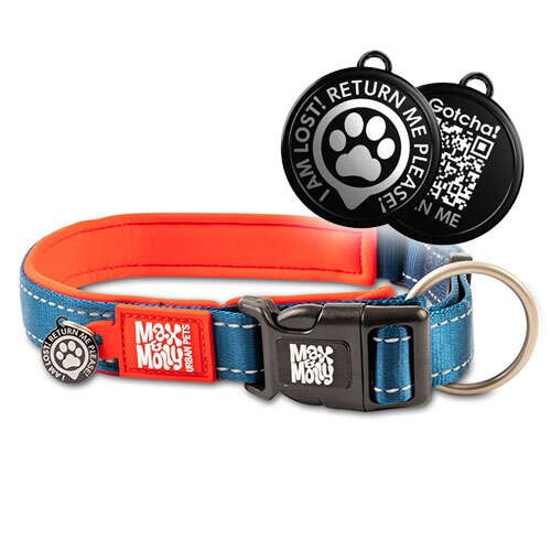 Max Molly Mavi-Kırmızı Matrix Köpek Boyun Tasması xs