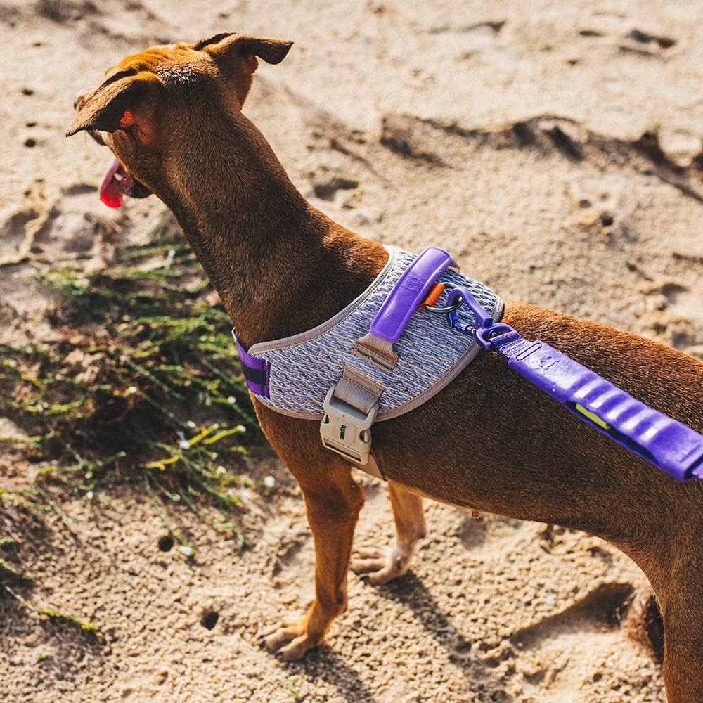 Zee.Dog ACG FlyHarness Kahve-Mor Göğüs Tasması