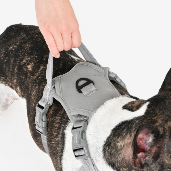 PUPPIA Jarek Harness Grey Paxd Köpek Gögüs Tasması