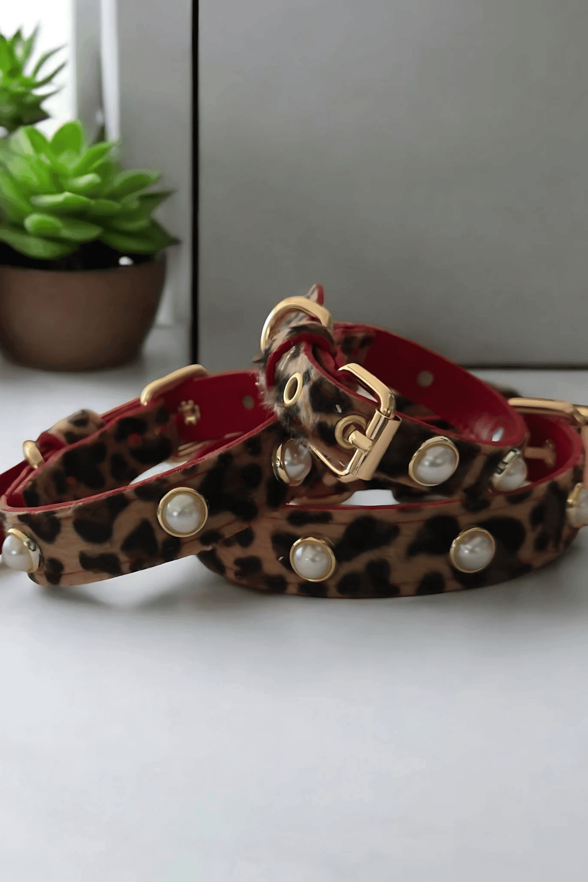 The Tailor Leopar Taşlı Köpek Boyun Tasması