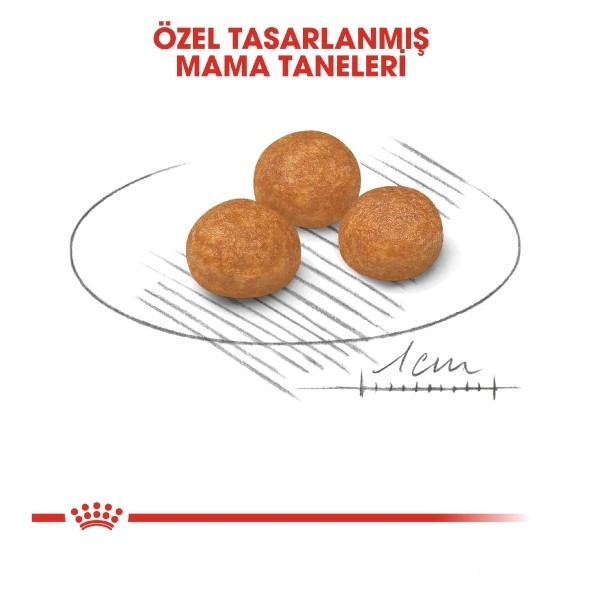 Royal Canin X-Small Küçük Irk Yetişkin Köpek Maması 3kg