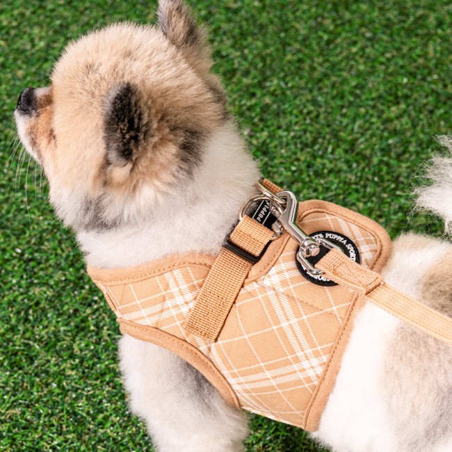 PUPPIA Corwın Harness Bıege Paza Köpek Gögüs Tasması