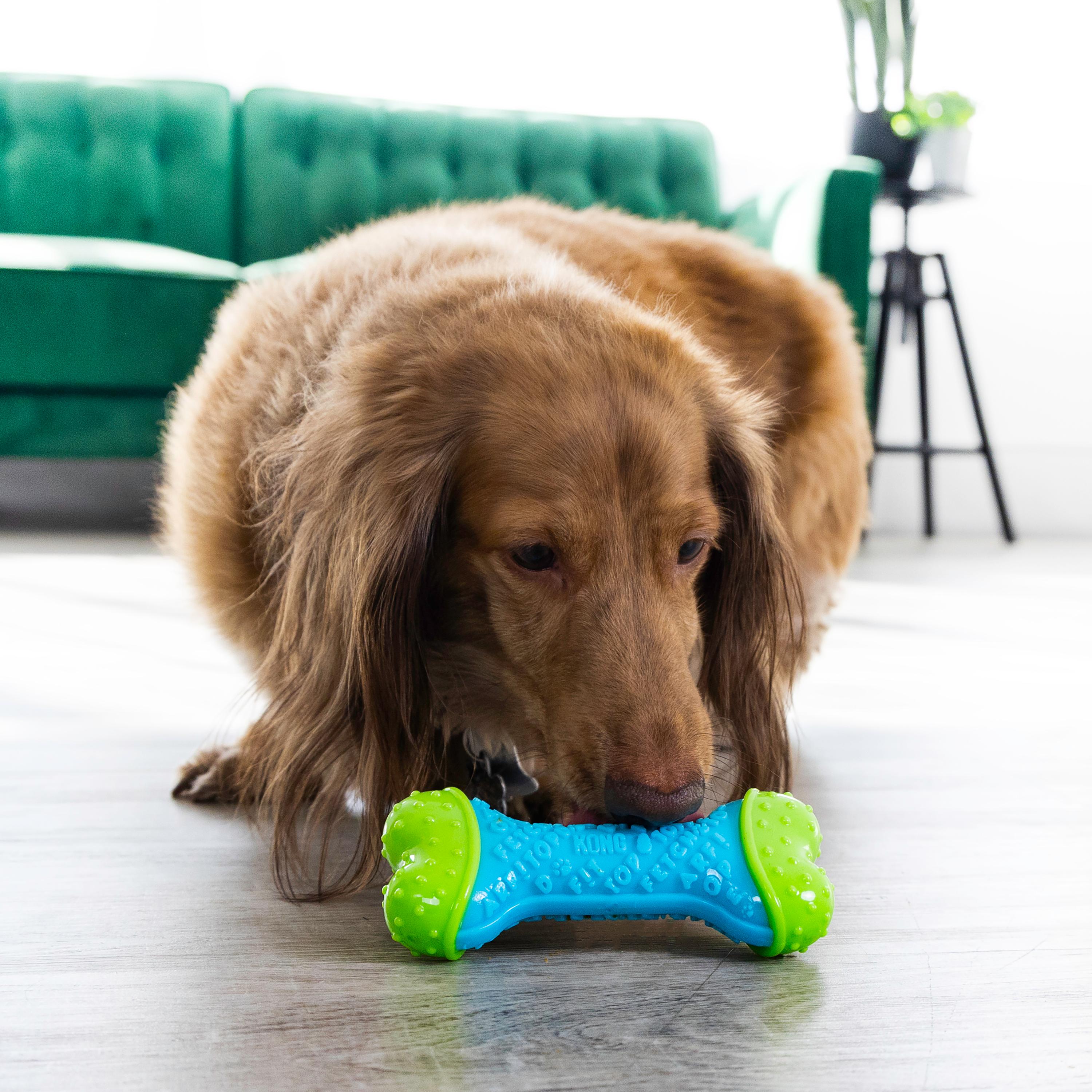Kong Core Strength Köpek Çiğneme Oyuncağı 13,5 cm