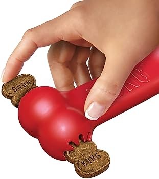 KONG Goodie Bone Kemik Şeklinde Çok Amaçlı Köpek Oyuncağı