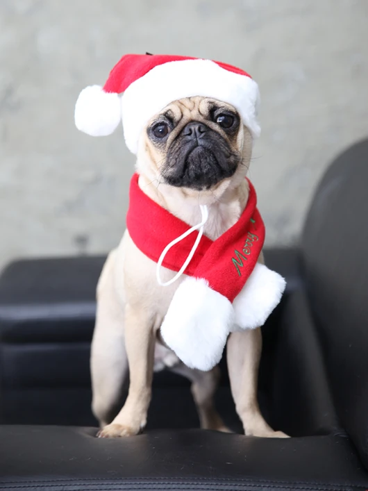 PUPPIA Santa's Scarf Polarlı Köpek Kıyafeti