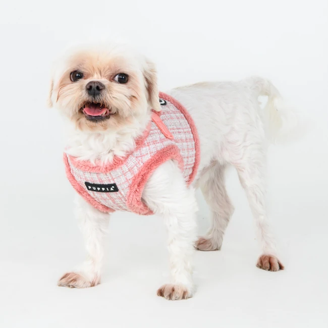 PUPPIA Oscar Ayarlanabilir Polarlı Göğüs Tasması