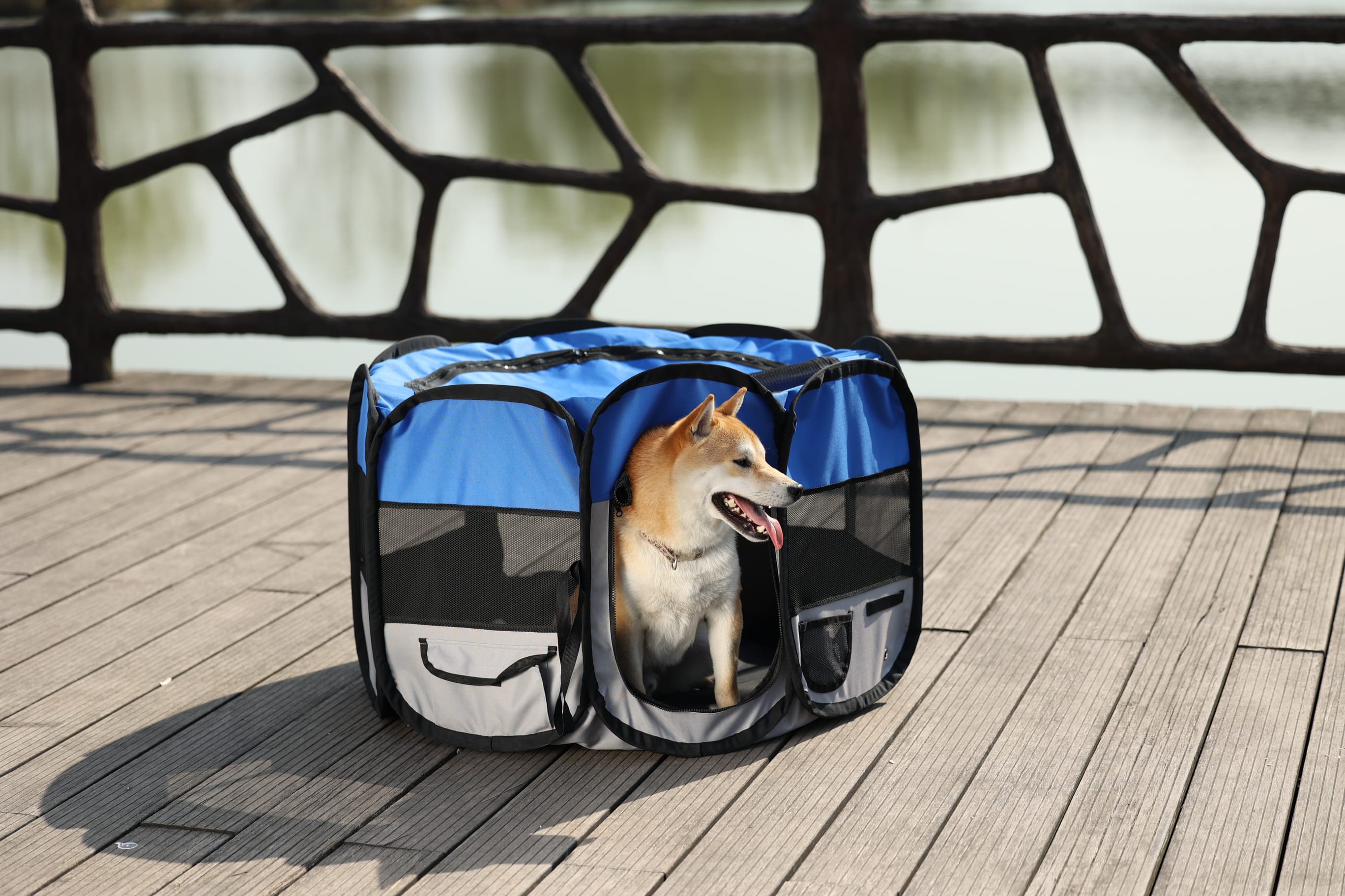 Pet Luxe Katlanabilir Oyun Parkı Medium