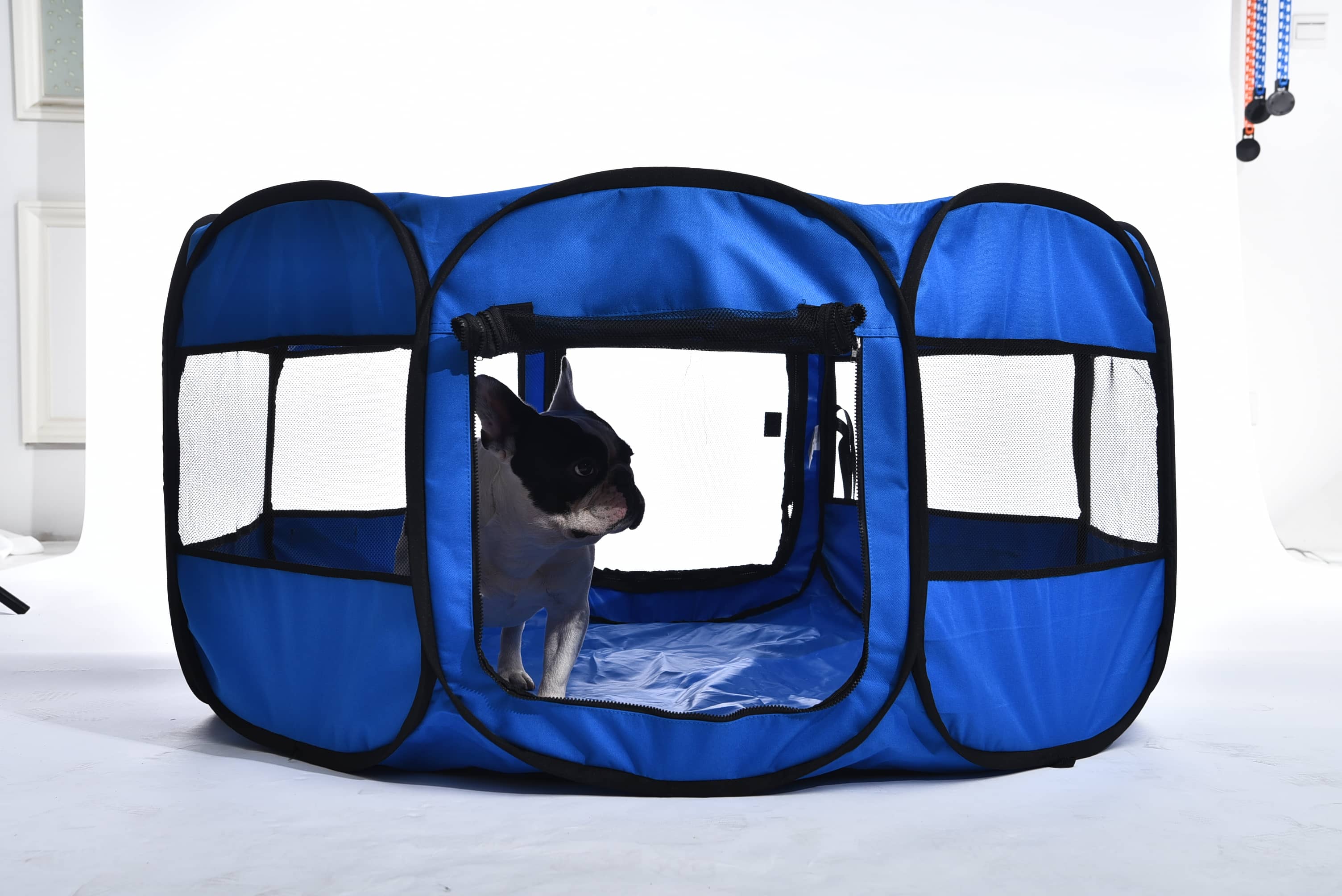 Pet Luxe Katlanabilir Oyun Parkı Small