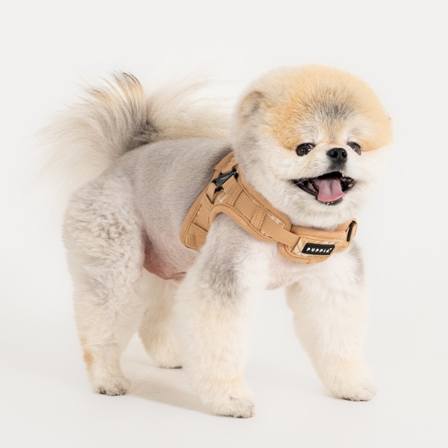 PUPPIA Corwın Harness Beıge Paza Köpek Gögüs Tasması