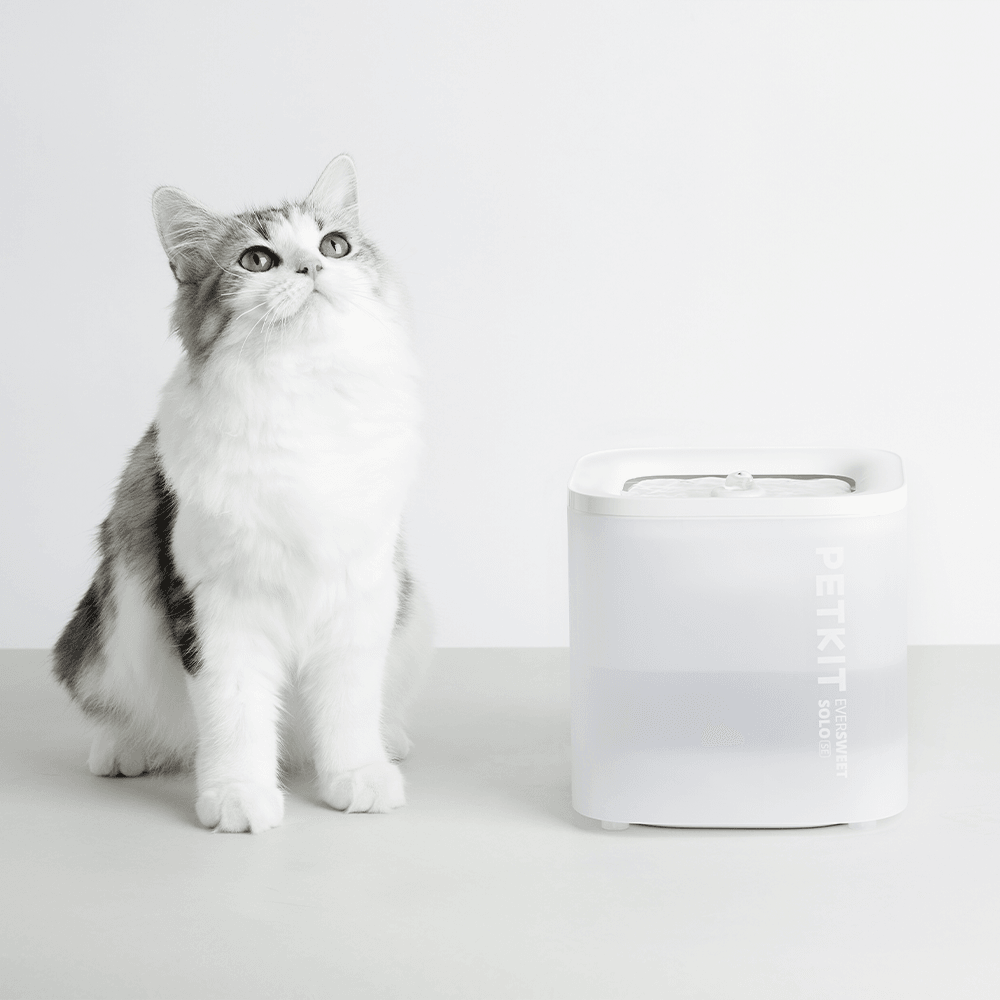 Petkit Eversweet Solo SE Su Pınarı Beyaz
