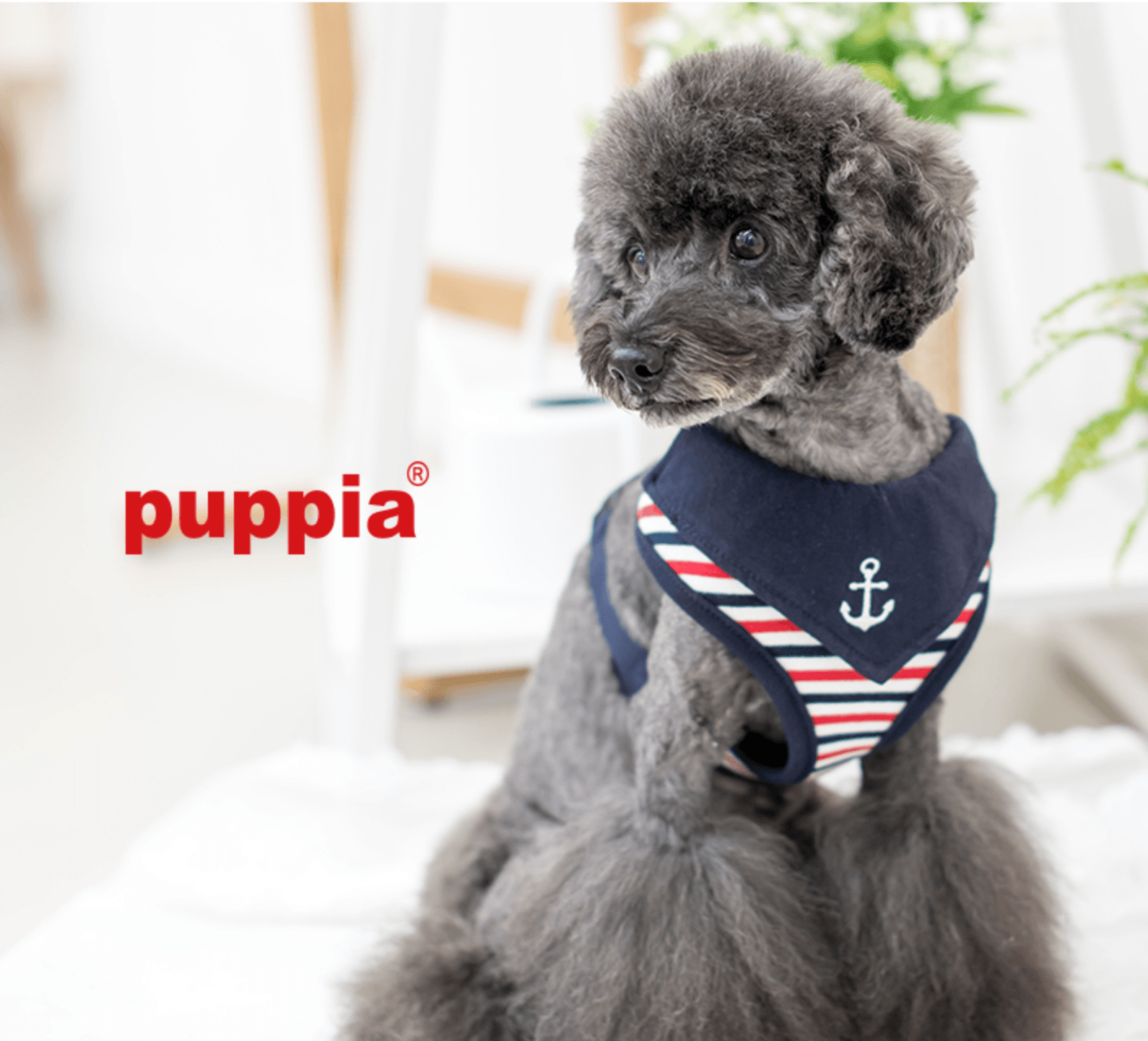 PUPPIA Seaman Harness Navy Paua Köpek Gögüs Tasması