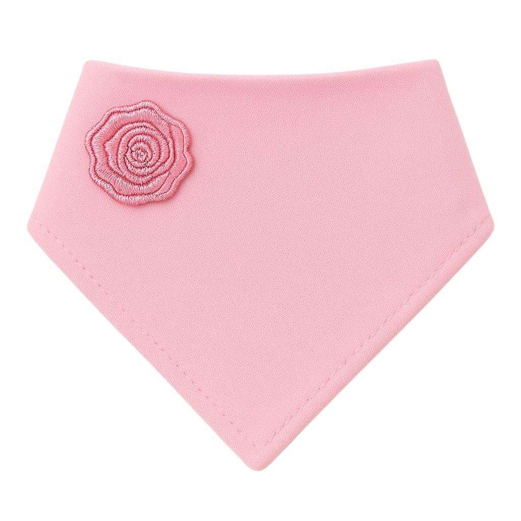 Pudra Kedi ve Köpek Bandana