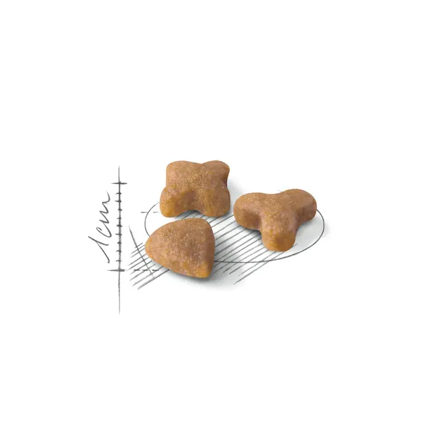Royal Canın Sensible 33 Yetişkin Kedi Kuru Maması 2 kg