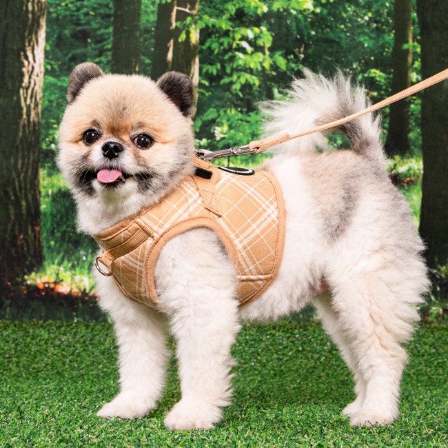 PUPPIA Corwın Harness Bıege Paza Köpek Gögüs Tasması