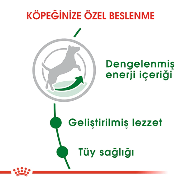 Royal Canin Mini Küçük Irk Yetişkin Köpek Maması 2 kg