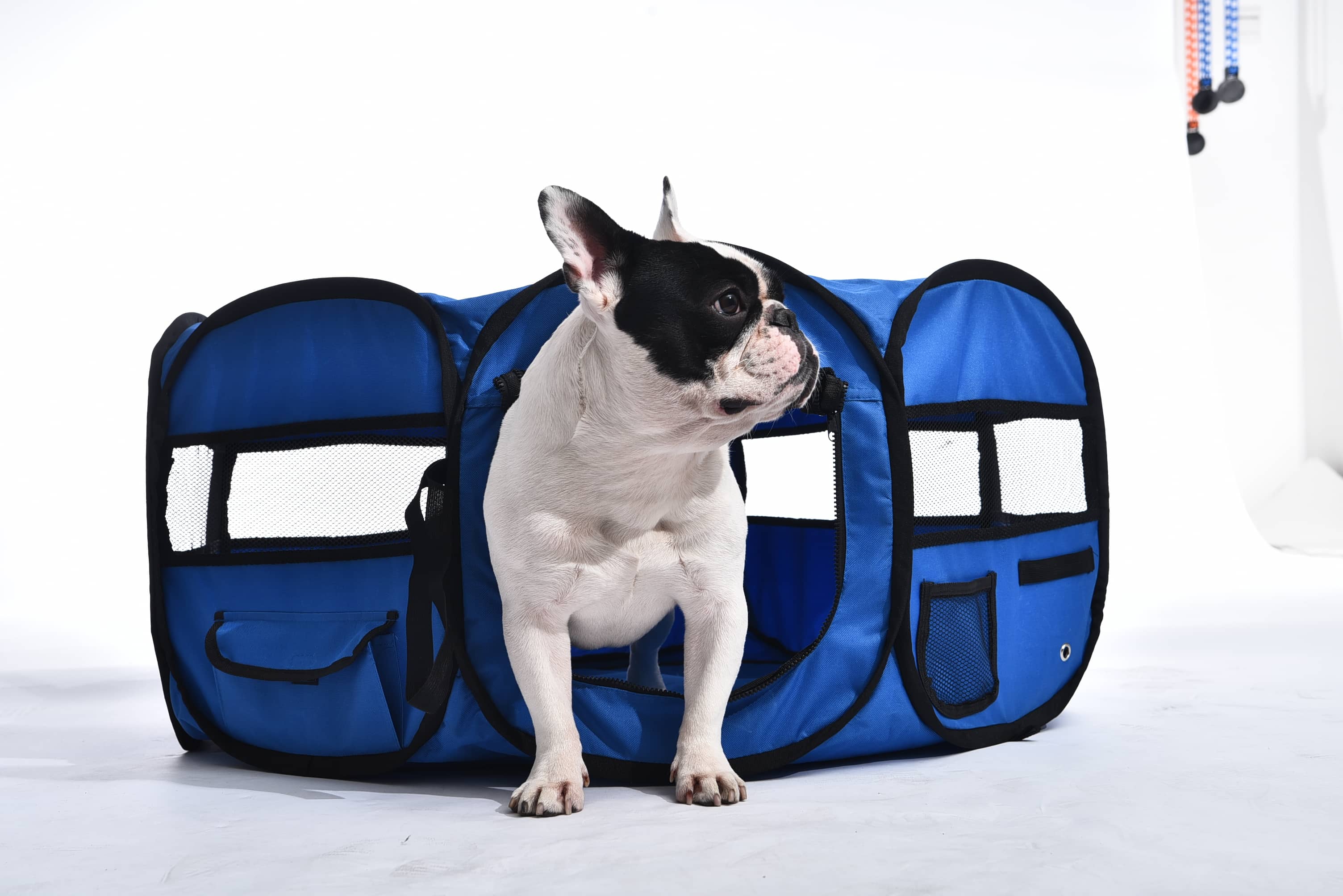 Pet Luxe Katlanabilir Oyun Parkı Small