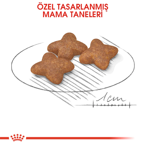 Royal Canin Mini Küçük Irk Yetişkin Köpek Maması 2 kg