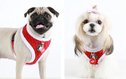 PUPPIA Blitzen Ayarlanabilir Polarlı Göğüs Tasması