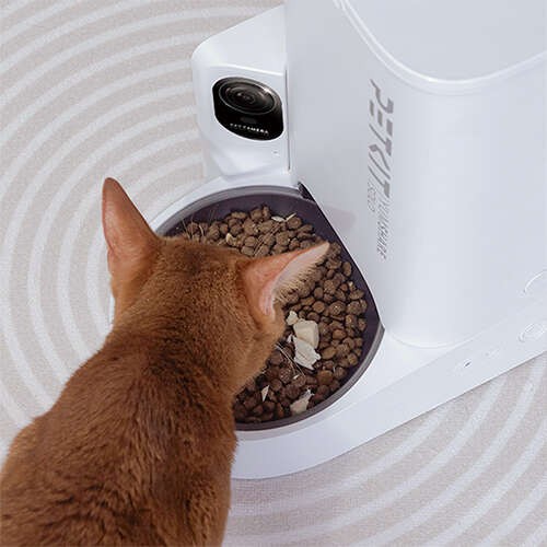 Petkit Yumshare Solo Kameralı Akıllı Mama Kabı