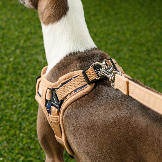 PUPPIA Corwın Harness Navy Paza Köpek Gögüs Tasması