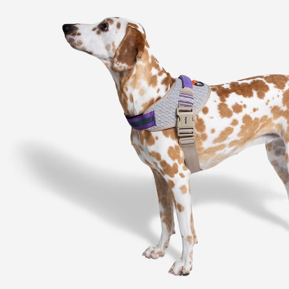 Zee.Dog ACG FlyHarness Kahve-Mor Göğüs Tasması