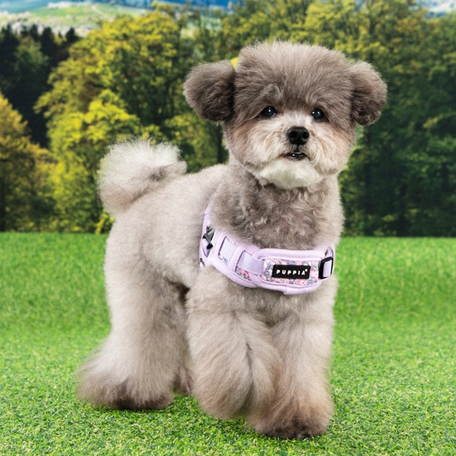 PUPPIA Kealoha Harness Vıolet Paza