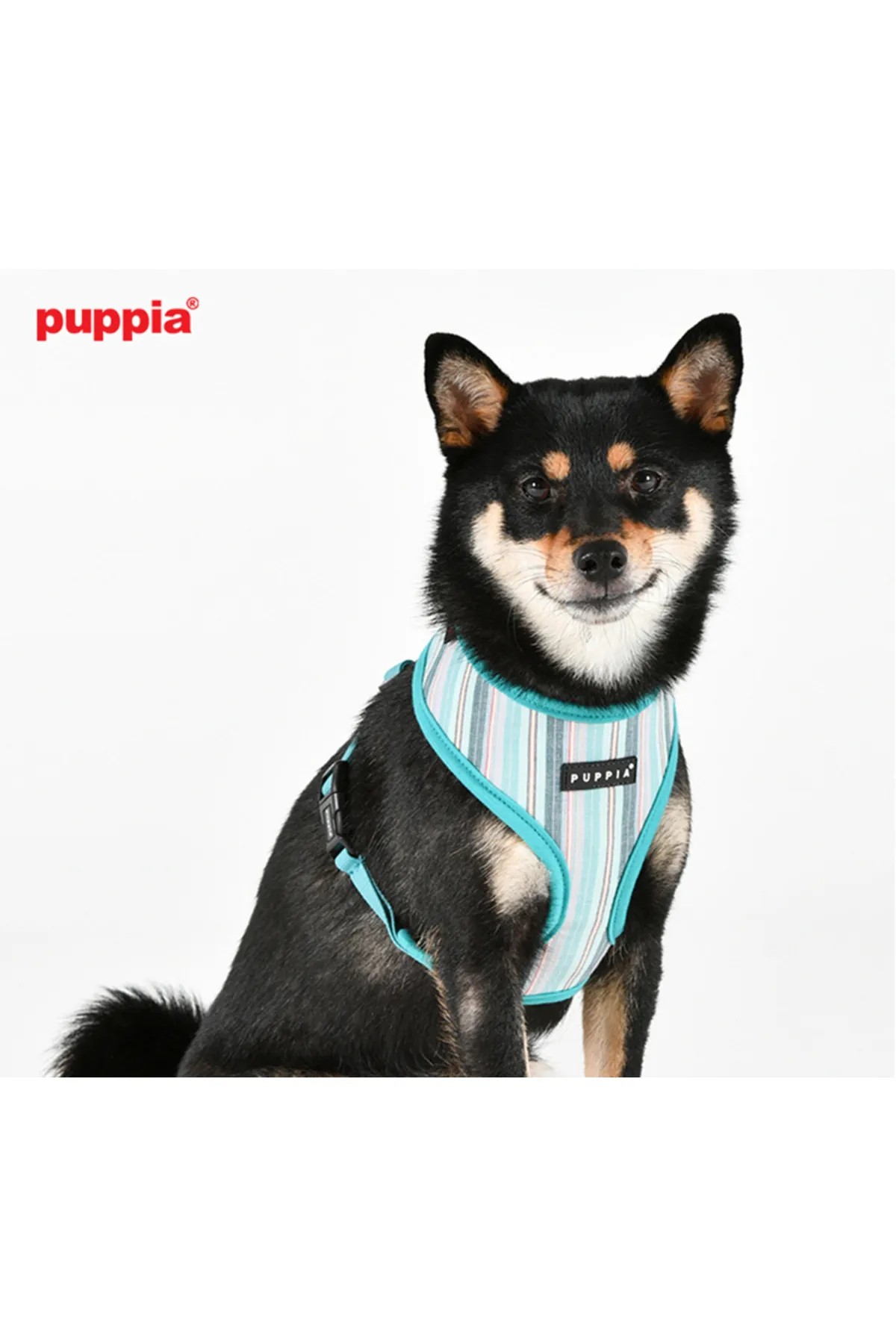 PUPPIA Theros Ayarlanabilir Göğüs Tasması