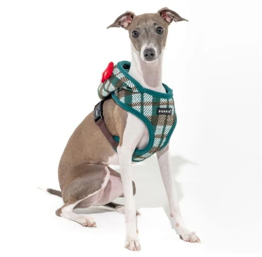 PUPPIA Festive Ayarlanabilir Polarlı Göğüs Tasması