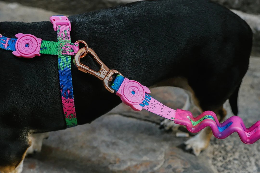 Zee.Dog Melted Ruff Köpek Gezdirme Kayışı
