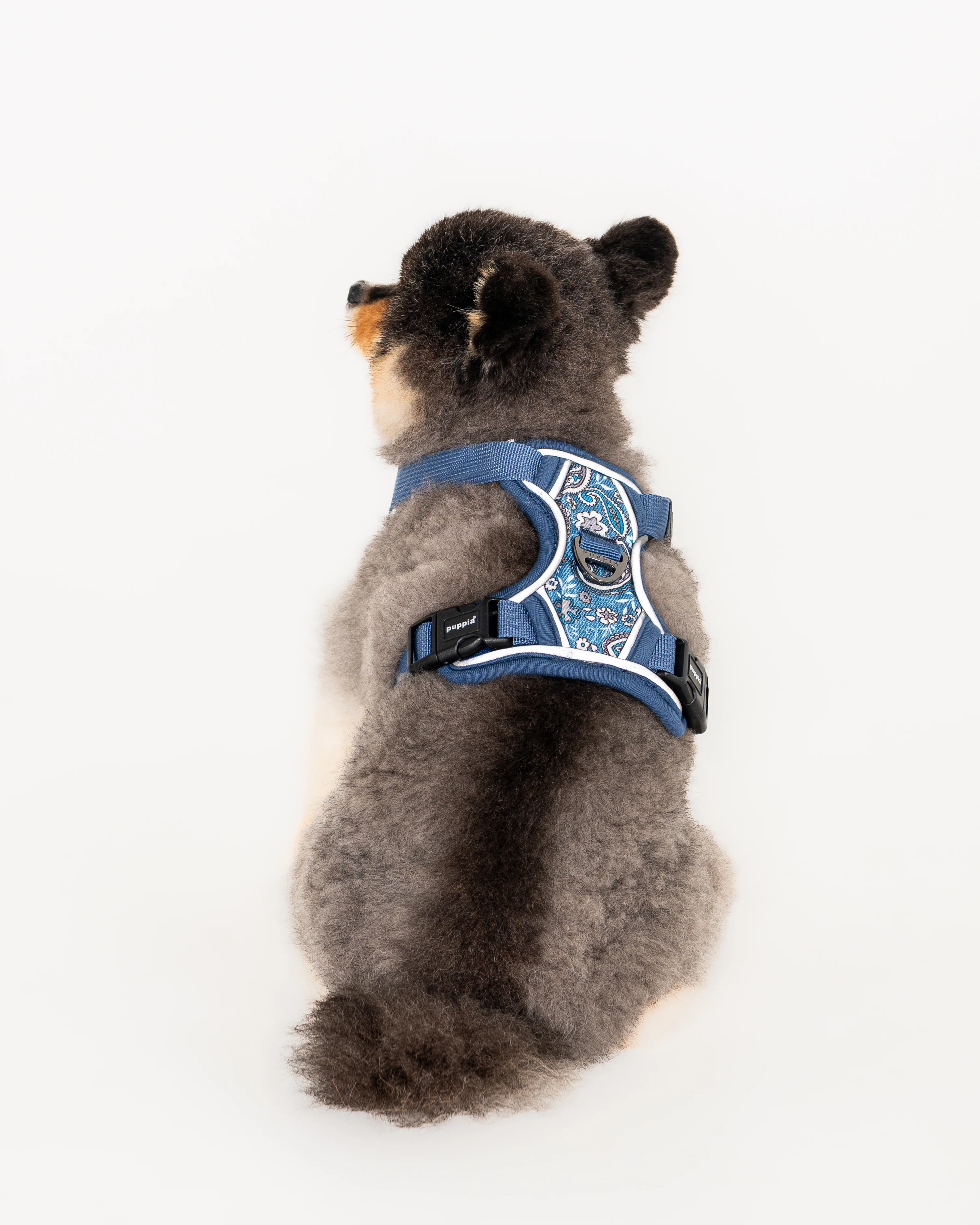 PUPPIA Cynthia Ayarlanabilir Göğüs Tasması