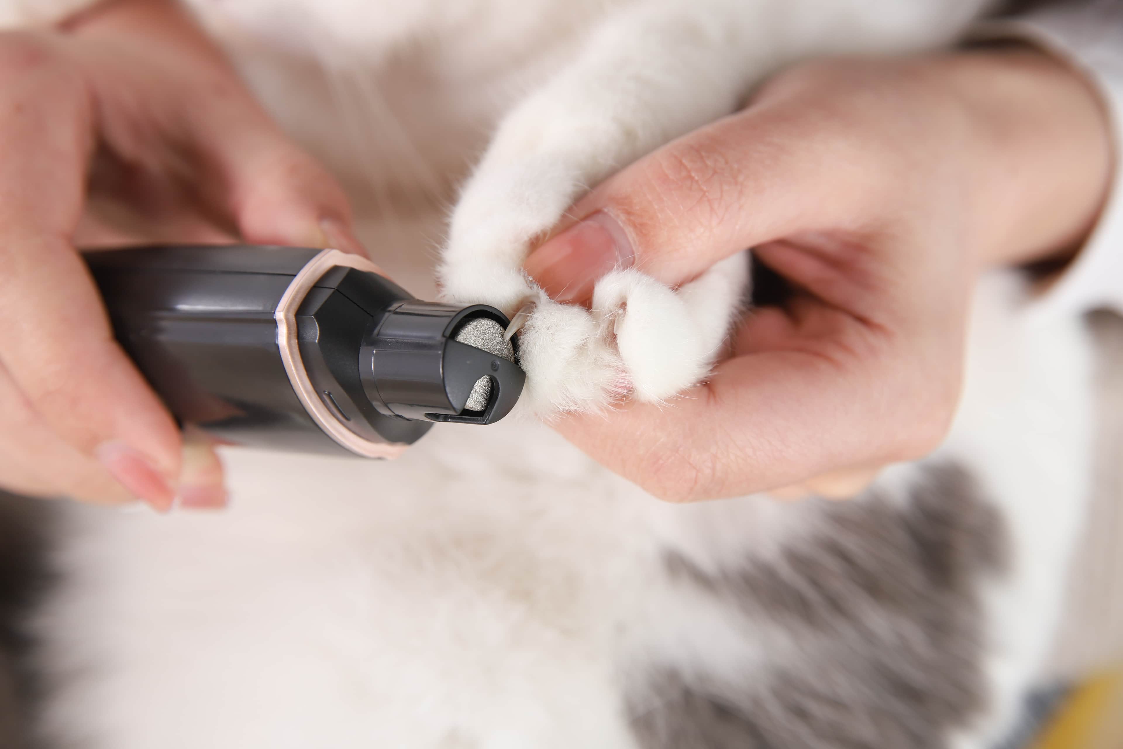 Pet luxe 2li Tırnak Makası Seti