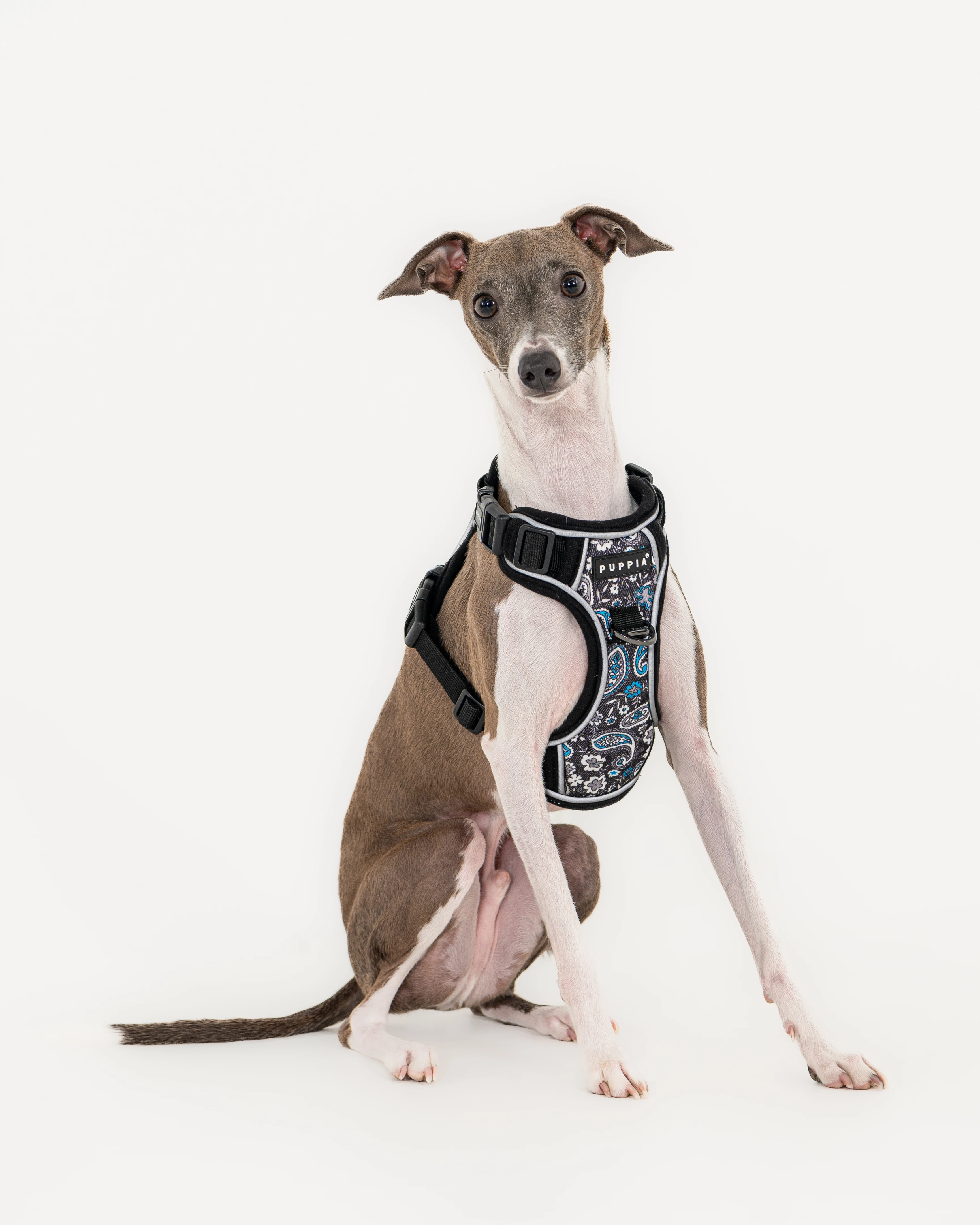 PUPPIA Cynthia Ayarlanabilir Göğüs Tasması